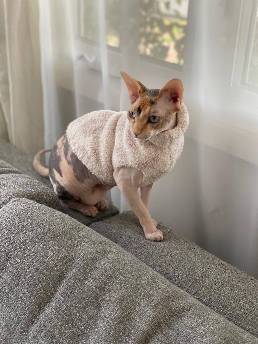 Review Thumbnail Image 0 199178541