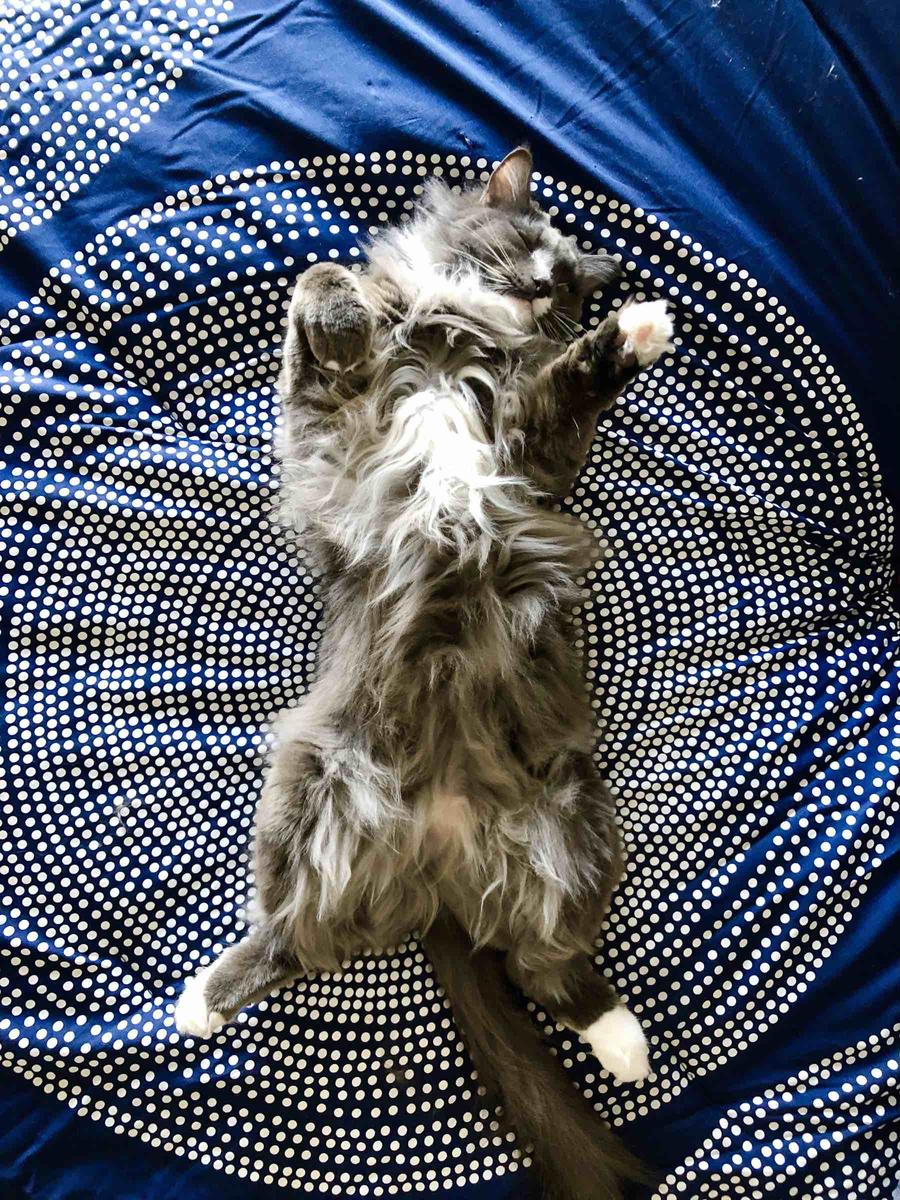 Review Thumbnail Image 1 206908963