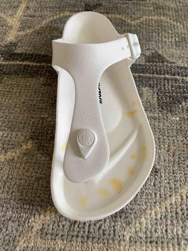 Cute, comfy, squeaky and stain easily