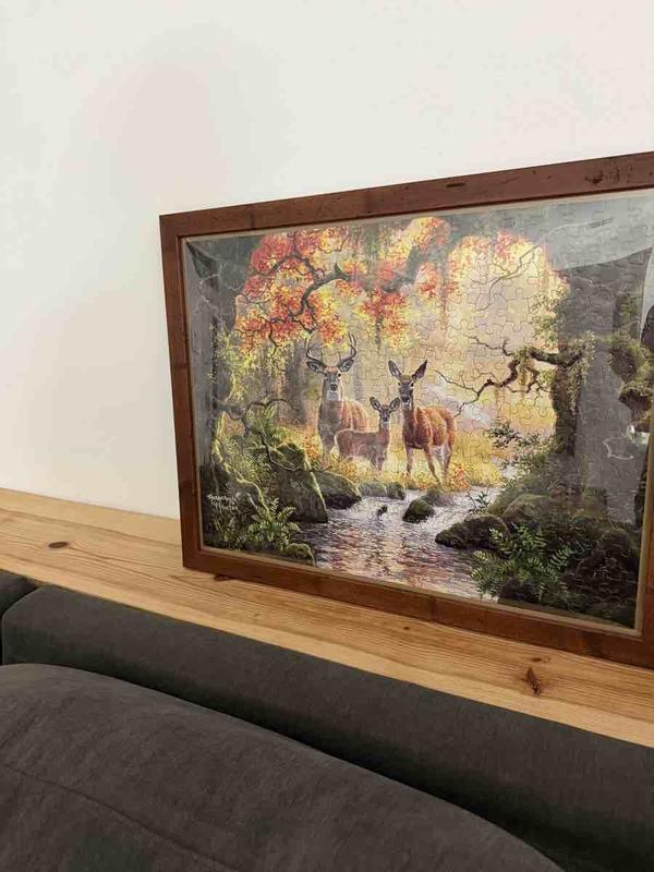 Review Thumbnail Image 1 247995312