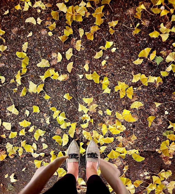 Walked all over Philly on Halloween night