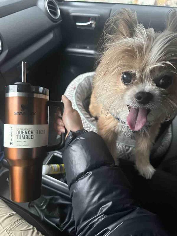 Ice cold water for me and my dog!