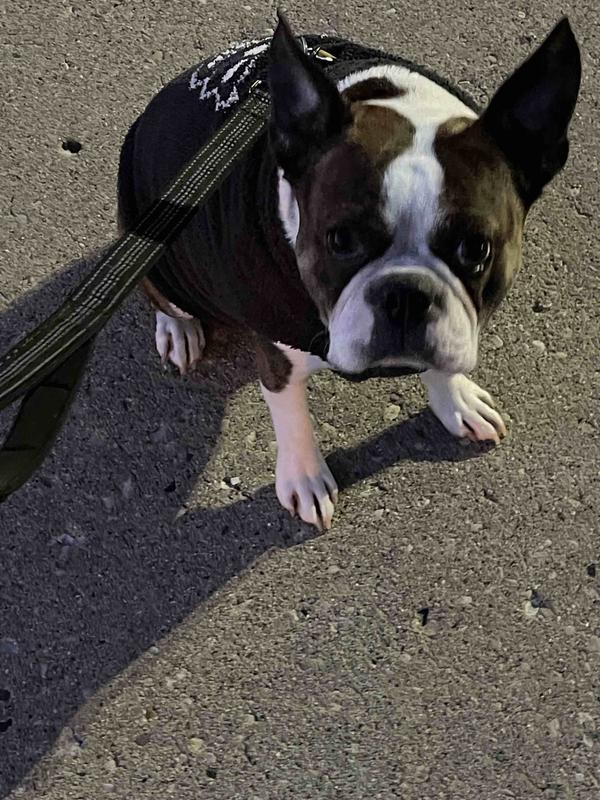 Review Thumbnail Image 0 211785147