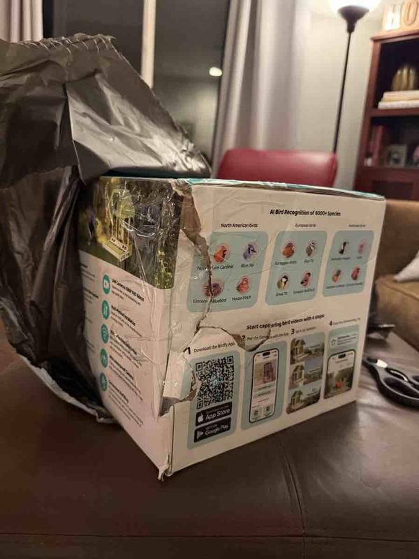 Review Thumbnail Image 0 246756187