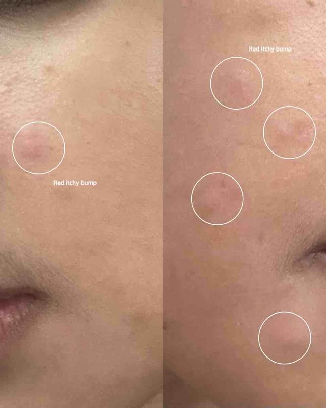 Review Thumbnail Image 2 233692413