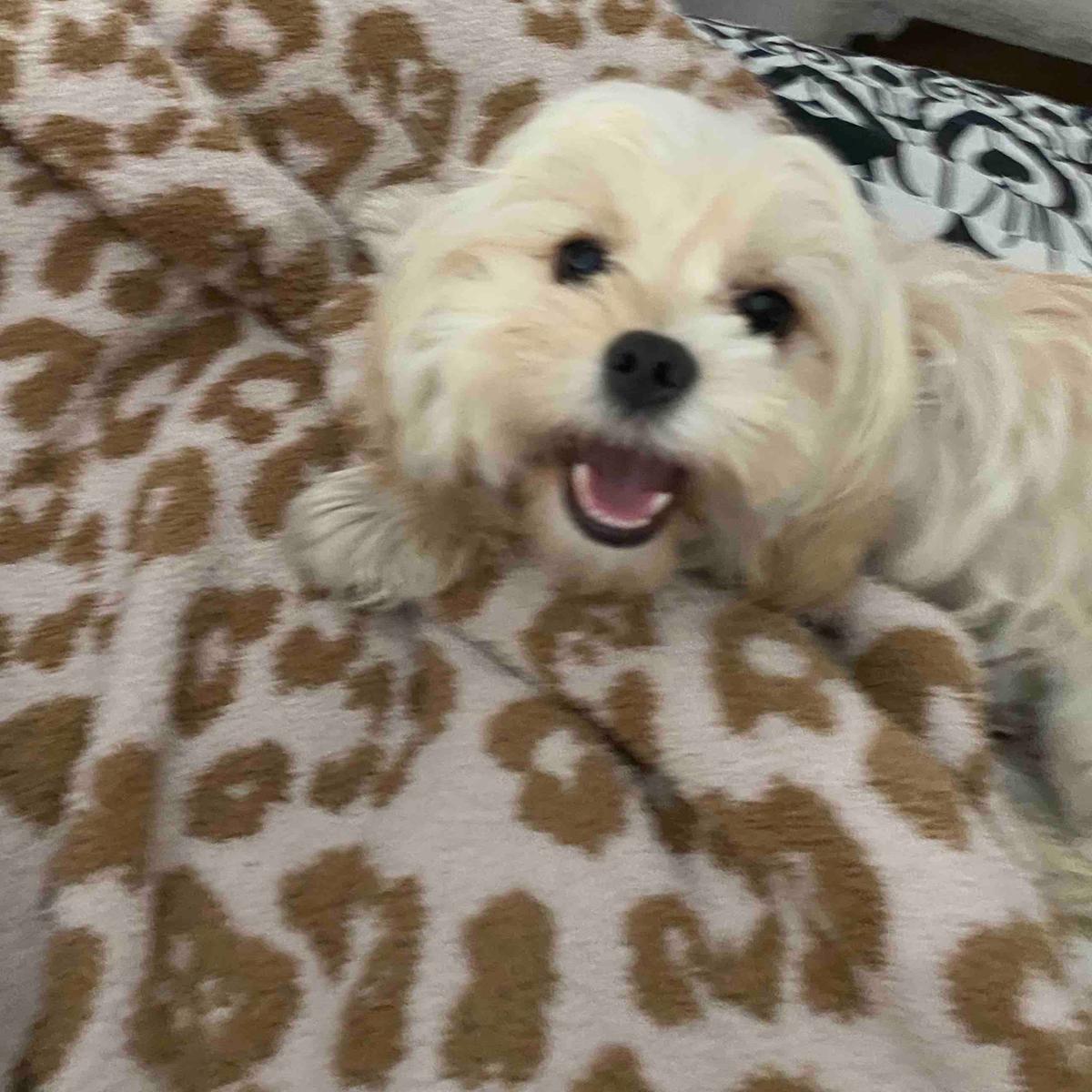 Review Thumbnail Image 1 199278278