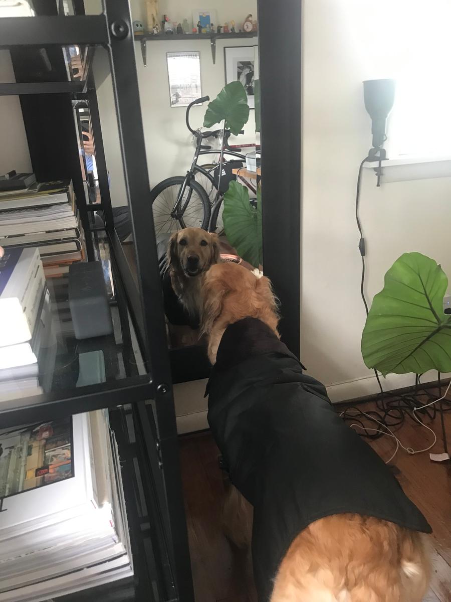 Review Thumbnail Image 0 197431242