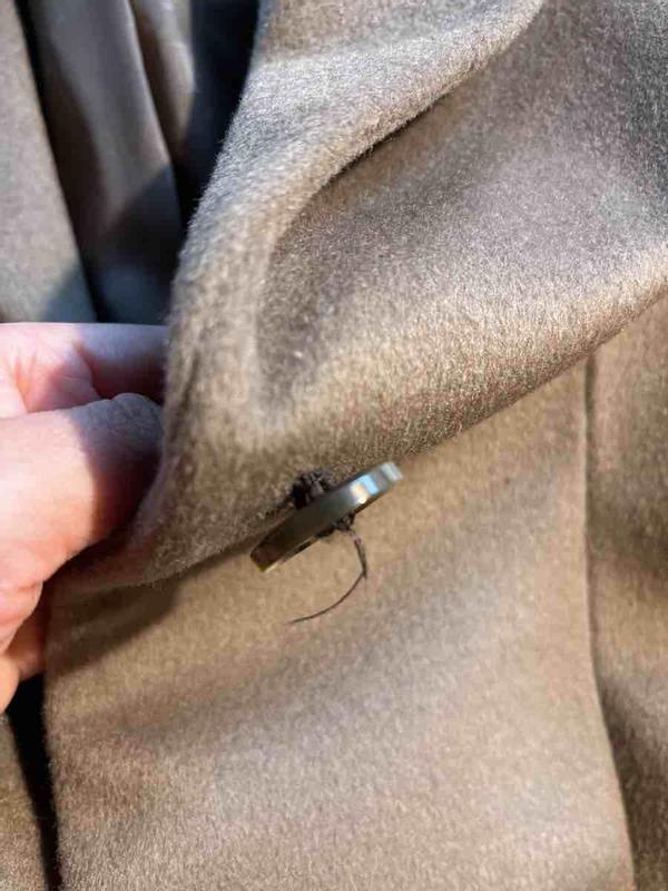 Review Thumbnail Image 1 245586956