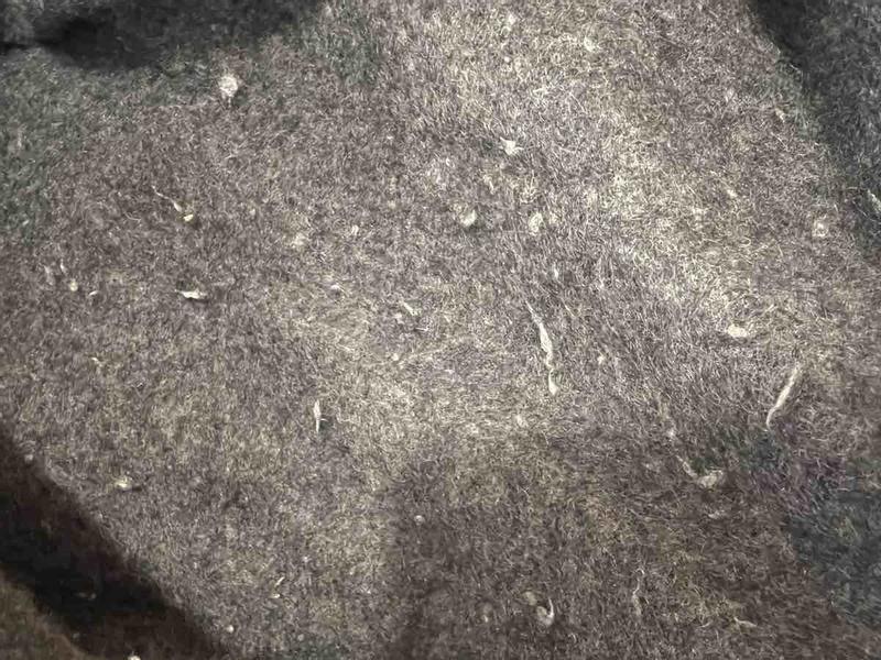 Review Thumbnail Image 1 247149313