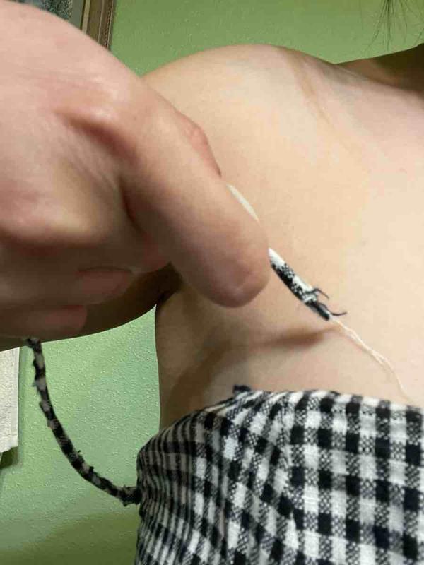 Review Thumbnail Image 1 242640650