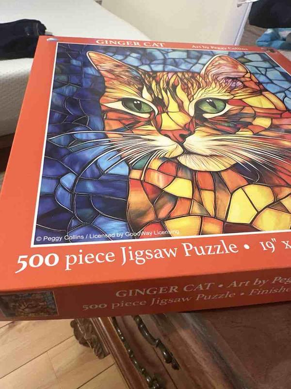 Review Thumbnail Image 1 247318657