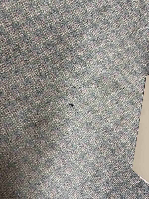 Review Thumbnail Image 1 236955165