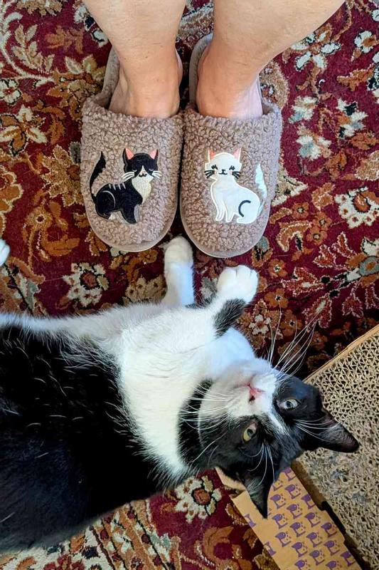 Review Thumbnail Image 0 243711569