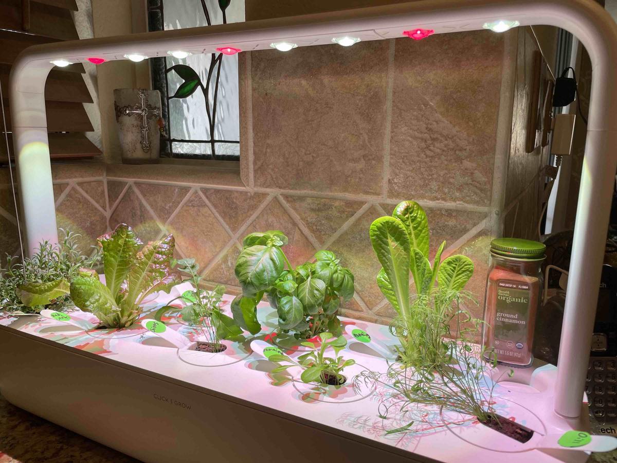 Review Thumbnail Image 0 209261806