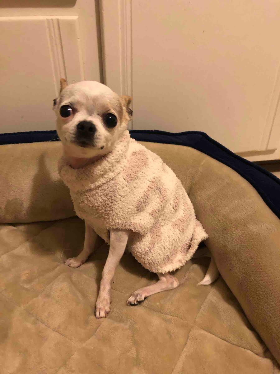 Review Thumbnail Image 0 200000040