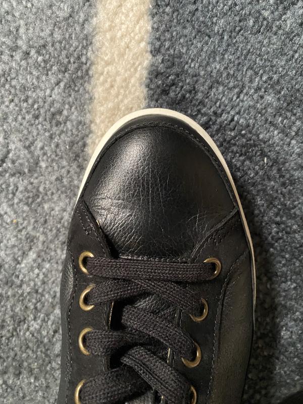 Winny Low Top Sneaker Review