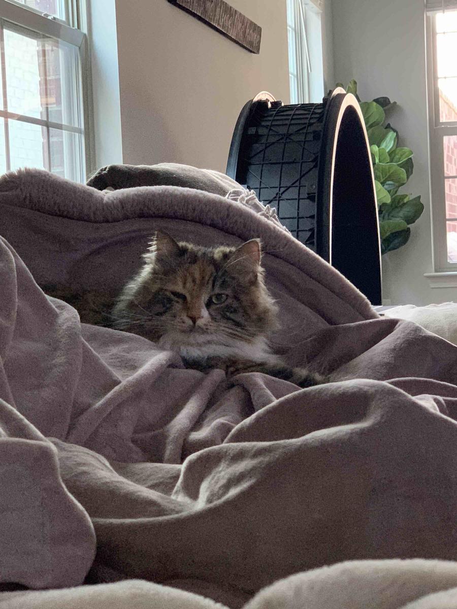 Customer photo for "Best purchase ever!"