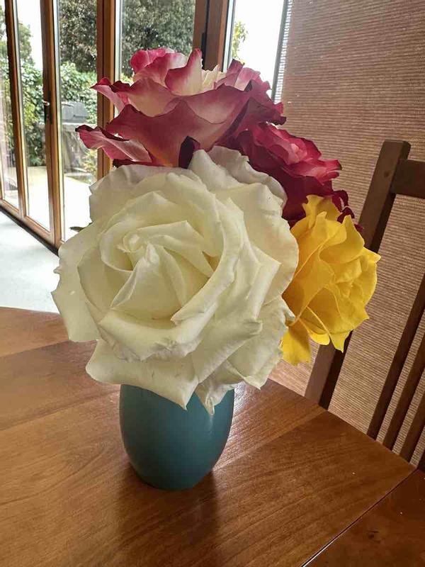 Review Thumbnail Image 0 233475116