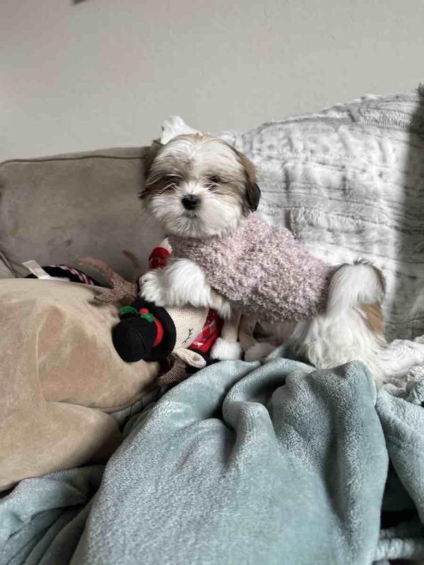 perfect for sweater weather!