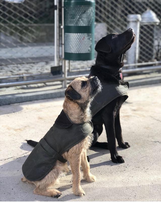 Review Thumbnail Image 0 212214360