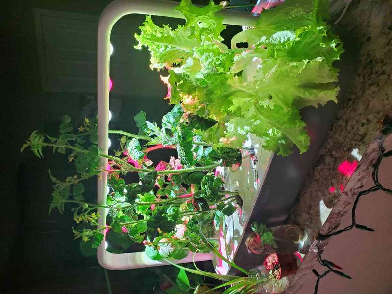 Review Thumbnail Image 1 212285041