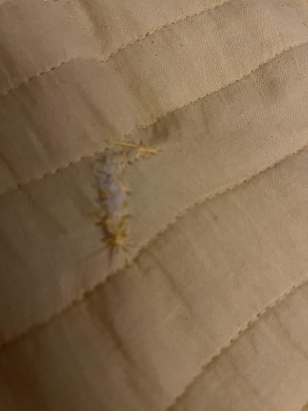 Review Thumbnail Image 0 216545292