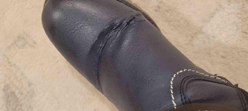 Review Thumbnail Image 0 239183370