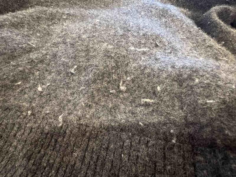 Review Thumbnail Image 0 247149313