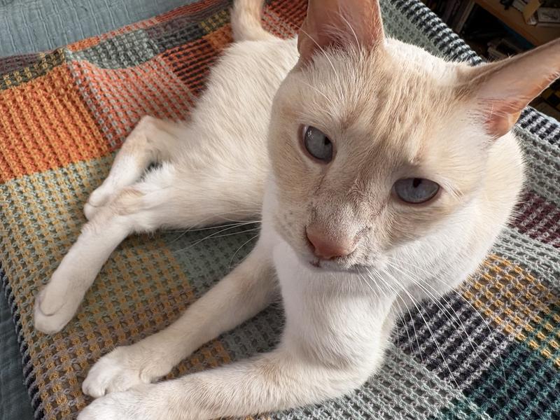 Review Thumbnail Image 0 244489638