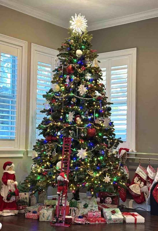 Review Thumbnail Image 0 237838228