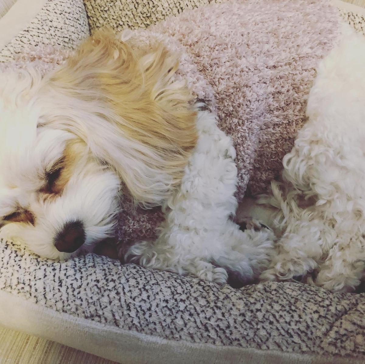 Review Thumbnail Image 1 193866488