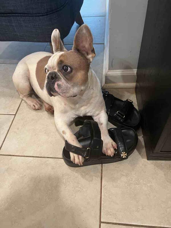 Review Thumbnail Image 0 227331898