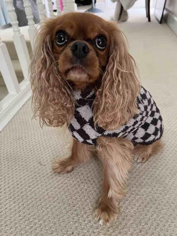 Review Thumbnail Image 0 227082271