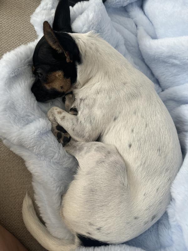 Review Thumbnail Image 1 235590586