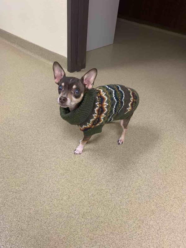 Review Thumbnail Image 0 227682072