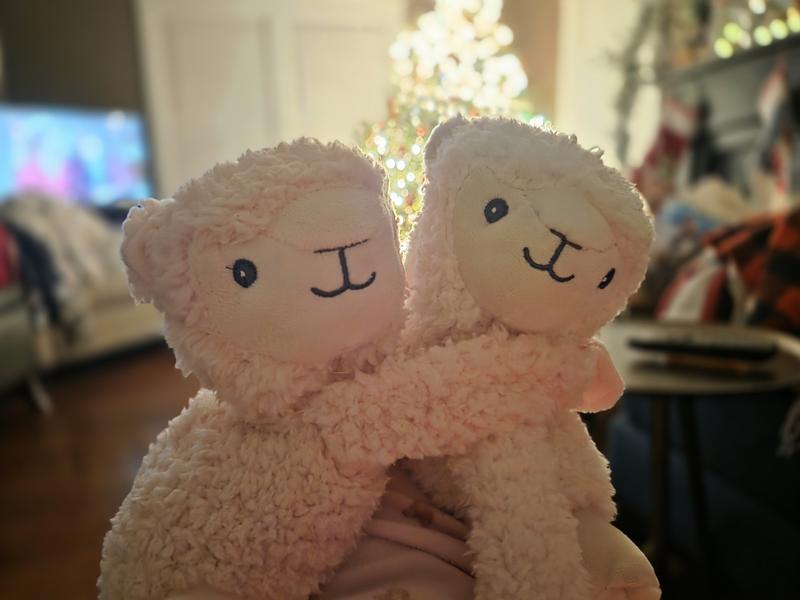 Review Thumbnail Image 0 247226259