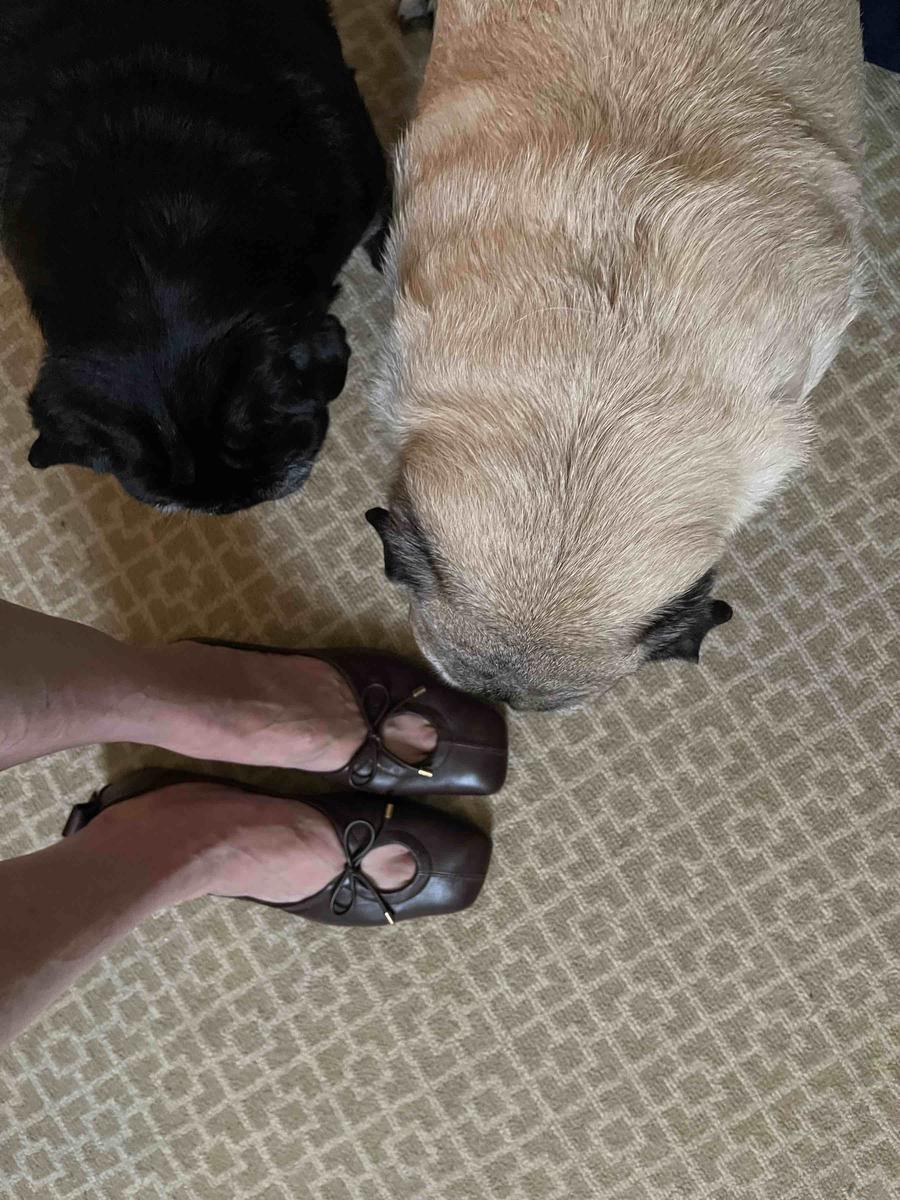 Absolutely LOVE these shoes!