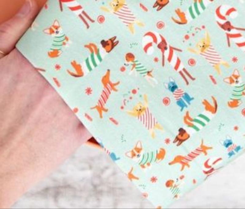 Review Thumbnail Image 0 246209811