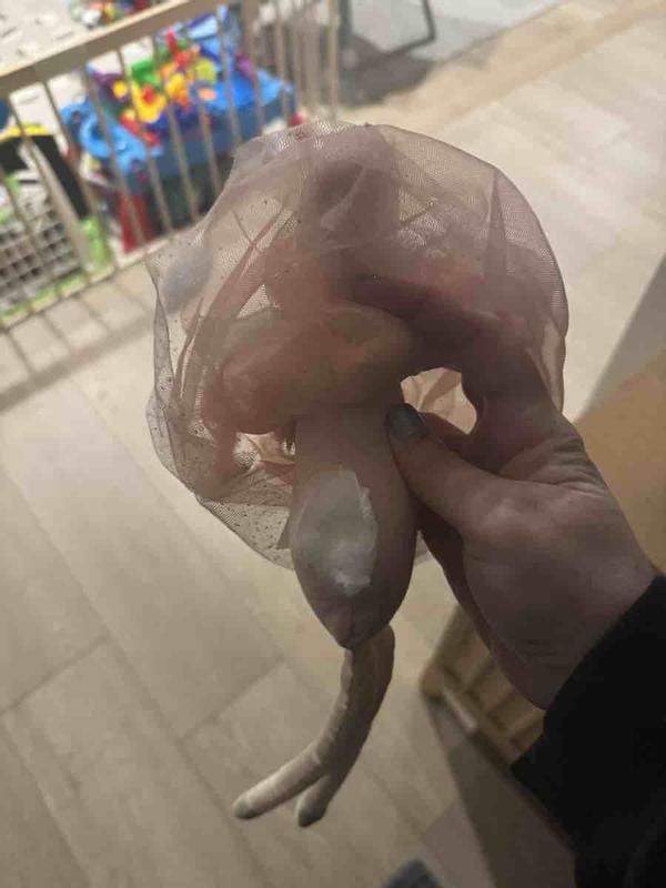 Review Thumbnail Image 0 239260385