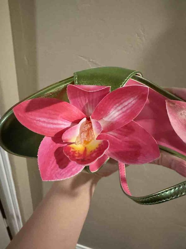 Review Thumbnail Image 0 249531728