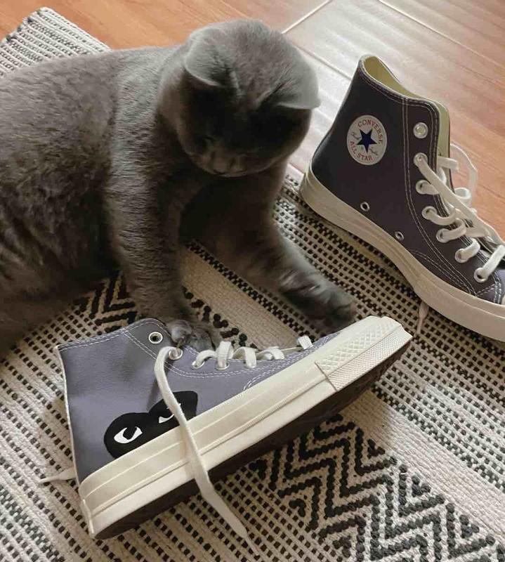 Review Thumbnail Image 0 215963583