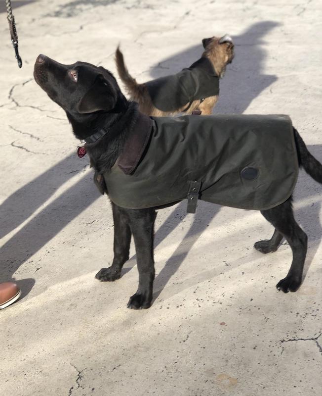 Review Thumbnail Image 1 212214360