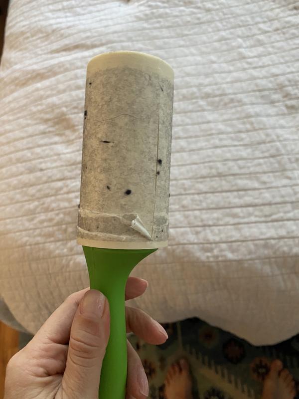 Review Thumbnail Image 1 213873464