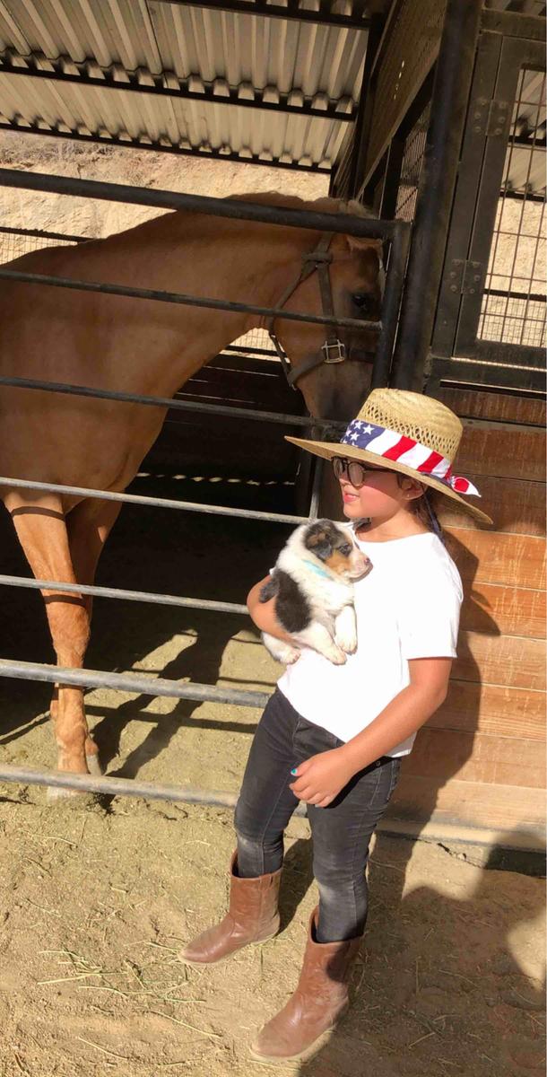 Review Thumbnail Image 0 198051954