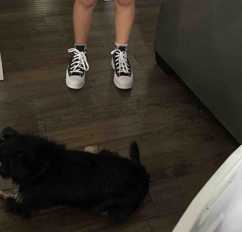 Review Thumbnail Image 0 219159420