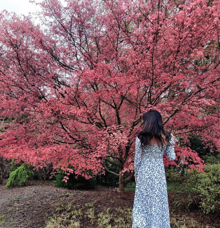 Review Thumbnail Image 0 217197888