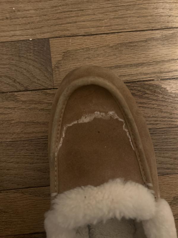 Review Thumbnail Image 0 248143911