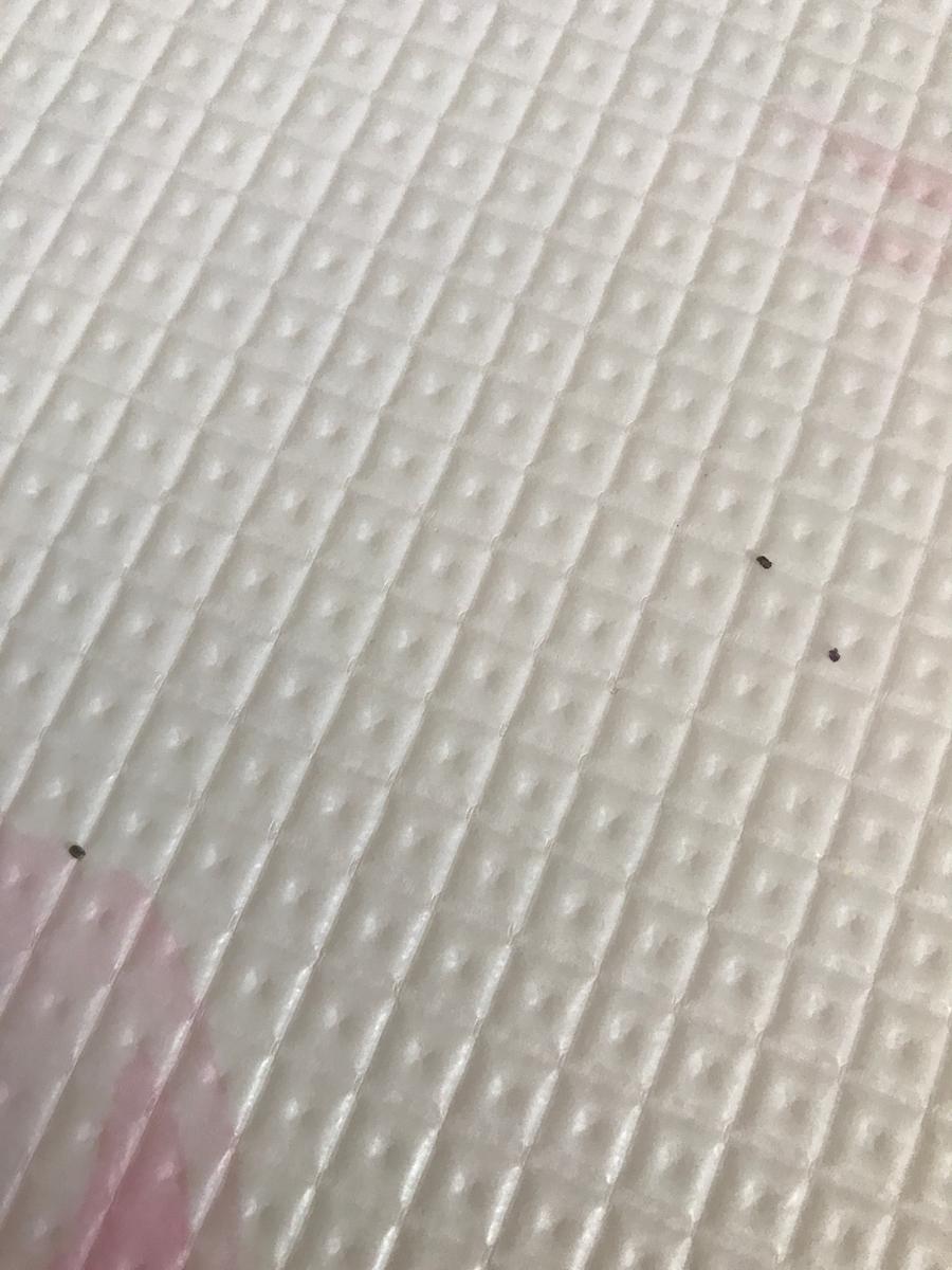 Review Thumbnail Image 1 196429971