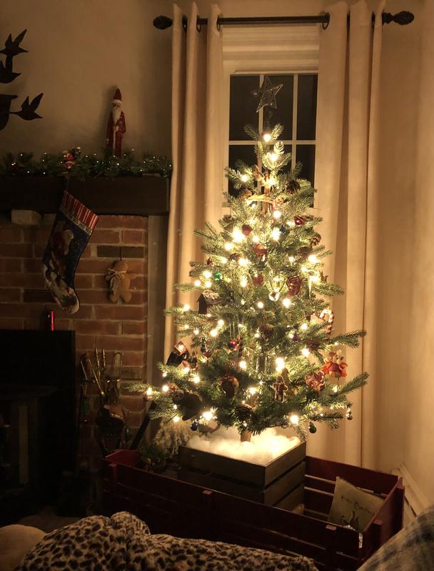 Review Thumbnail Image 0 212863860