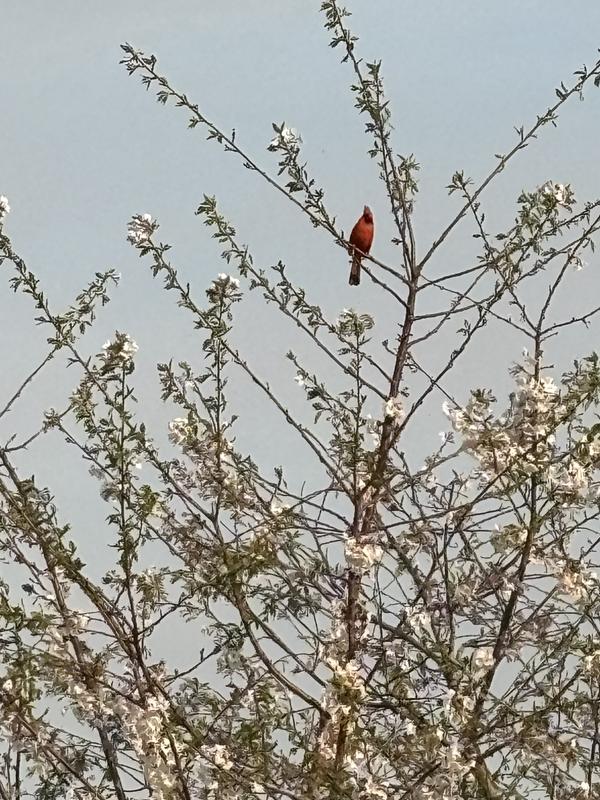 Review Thumbnail Image 2 242160506